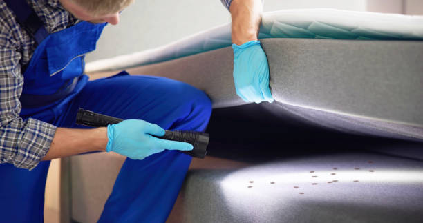 Wasp Removal Services in Panora, IA