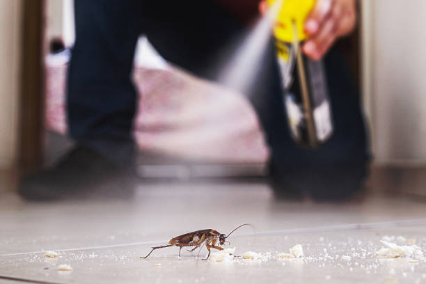 Best Pest Removal Services  in Panora, IA