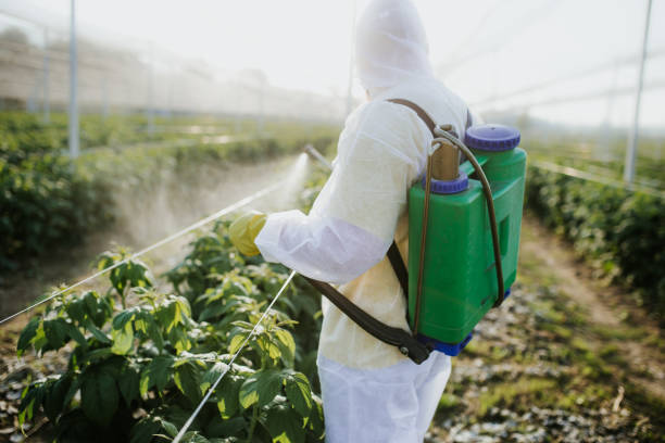 Best Emergency Pest Control  in Panora, IA
